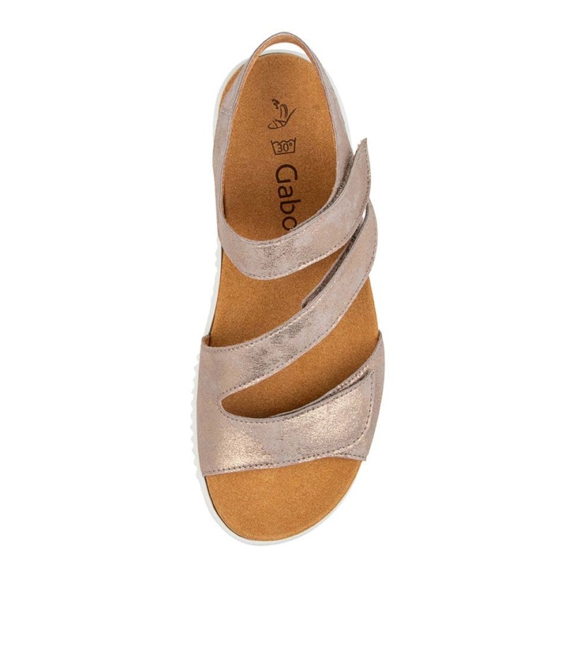 Gabor Brielle Schelp