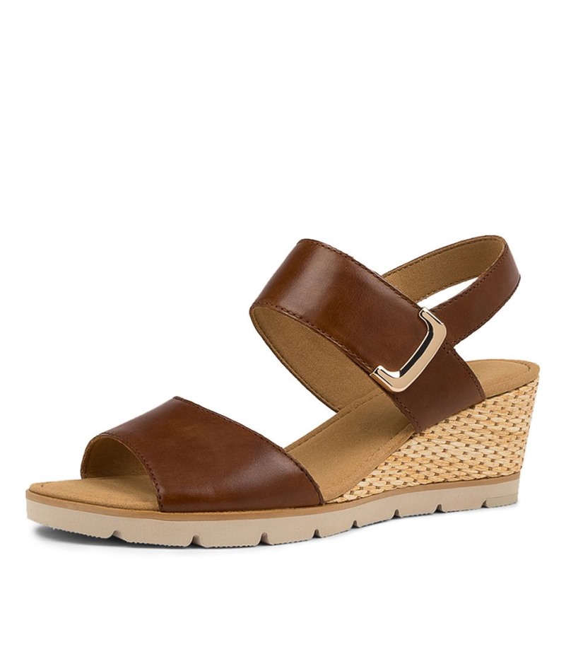 Gabor Freeda Pindaleer