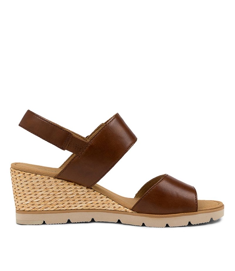 Gabor Freeda Pindaleer