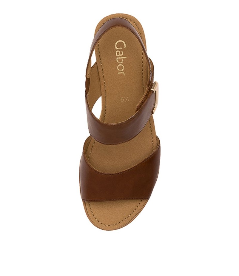 Gabor Freeda Pindaleer