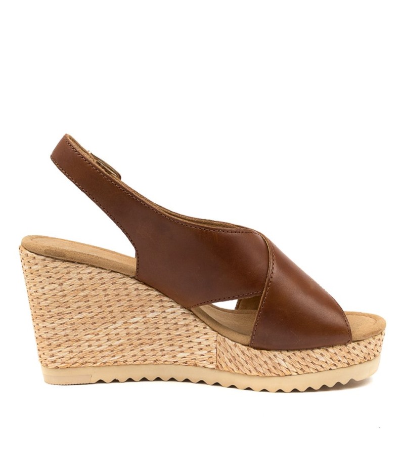 Gabor Silas Pinda Leer