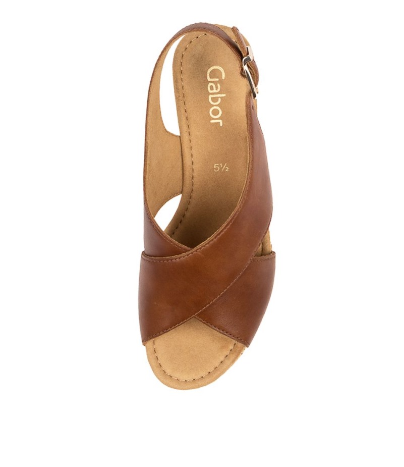 Gabor Silas Pinda Leer