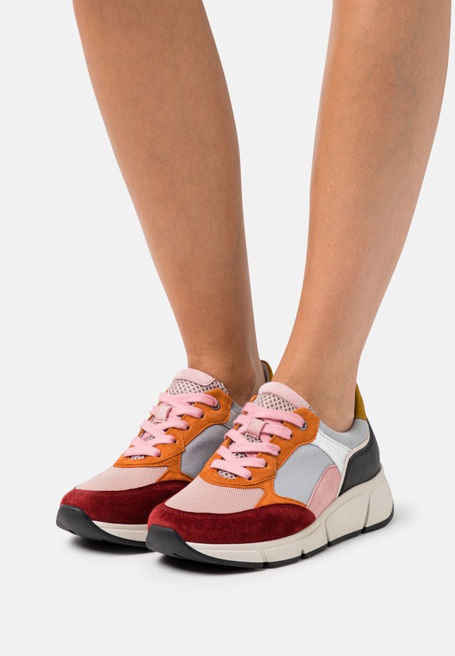 Trainers Gabor Latosso